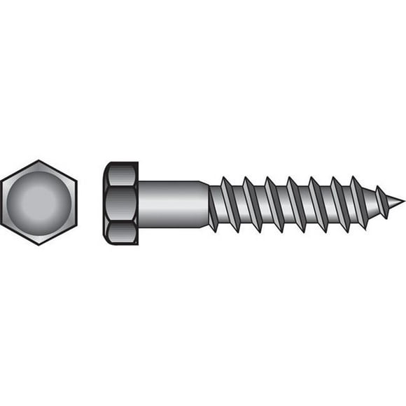 0.31 x 1 in. Hex Lag Screw Zinc