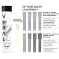 thumbnail image 3 of Celeb Luxury VIRAL COLORWASH, Argent Extrême, 8,25 oz., 3 of 3