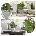 thumbnail image 5 of Westcharm 16 inch Tall Potted Faux Jade Plant Tabletop Greenery Artificial Green Crassula Ovata Succulent Money Tree in Melamine Pot, 5 of 9