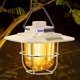 thumbnail image 1 of Linterna de camping CHAO recargable beige lámpara LED retro USB C luz cálida y natural, 1 of 5