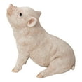 thumbnail image 2 of Baby Pig Sitting - Pink, 2 of 5
