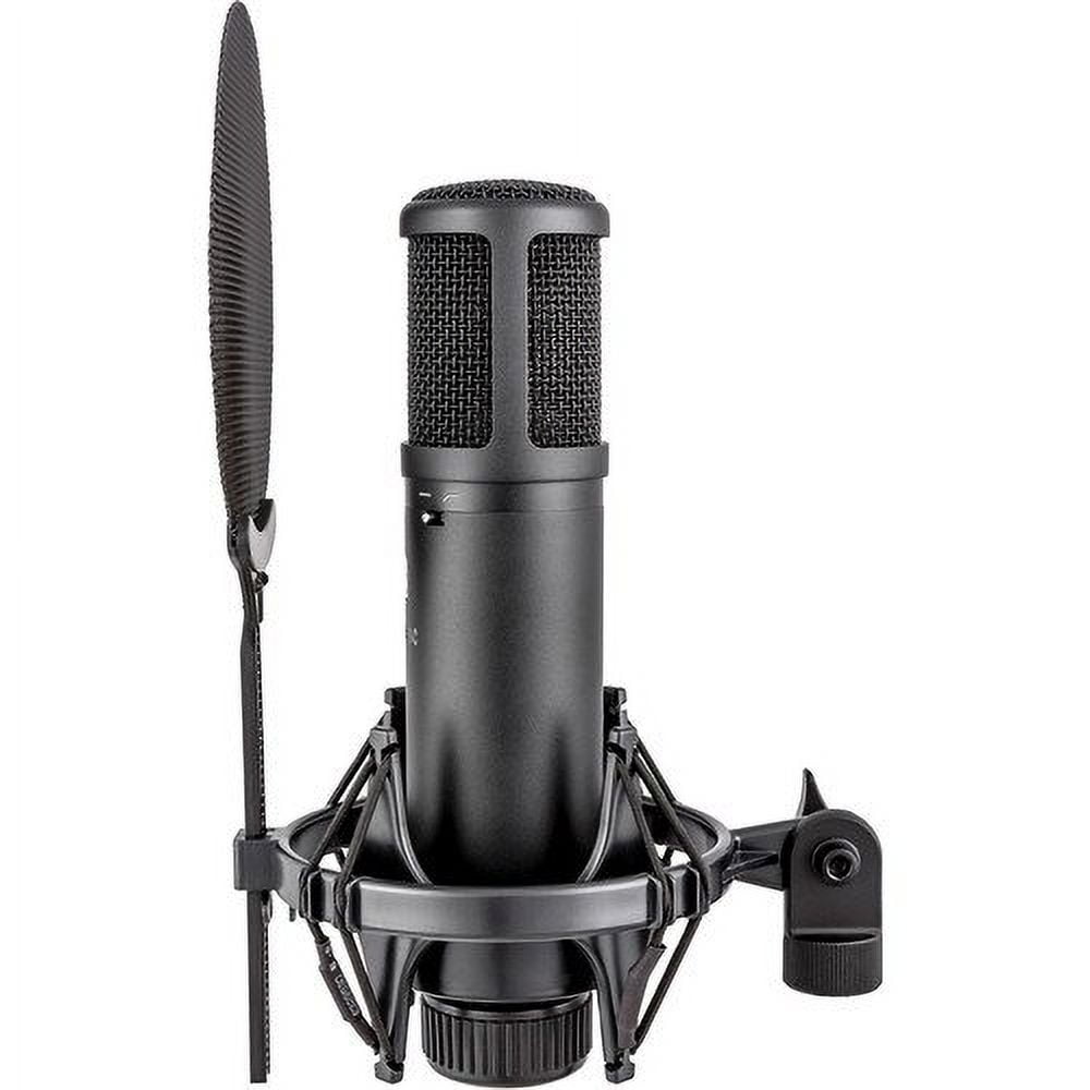 sE Electronics sE2200 Studio Condenser Cardioid Microphone with Isolation Pack plus XLR-XLR Cable and Pop Filter