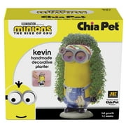 Minions Kevin Chia Pet Handmade Decorative Planter by JEI