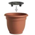 thumbnail image 6 of Bloem AP1227 Ariana 12 Inch Self Watering Plastic Flowerpot Planter, Calypso, 6 of 8