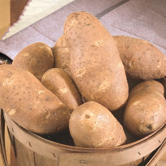 Gurney's 2 lbs Goldrush Seed Potatoes Plant Seeds