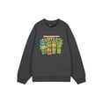 thumbnail image 1 of Teenage Mutant Ninja Turtles Mens Grey Sweatshirt, 1 of 6