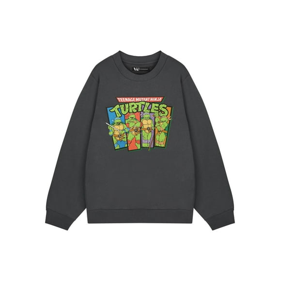 Teenage Mutant Ninja Turtles Mens Grey Sweatshirt