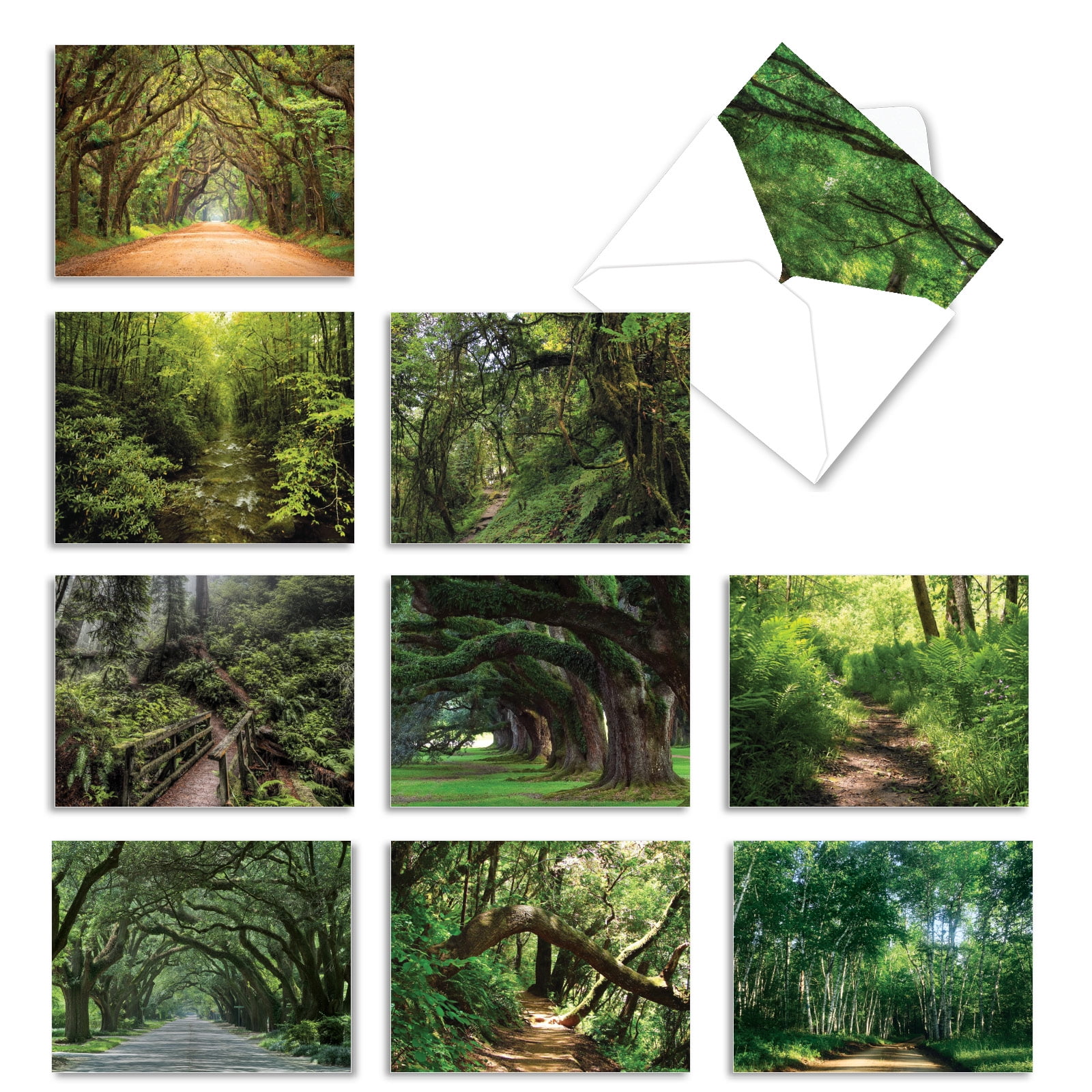 Details about   10 Assorted All Occasion Note Cards Blank NATURE TRAILS 