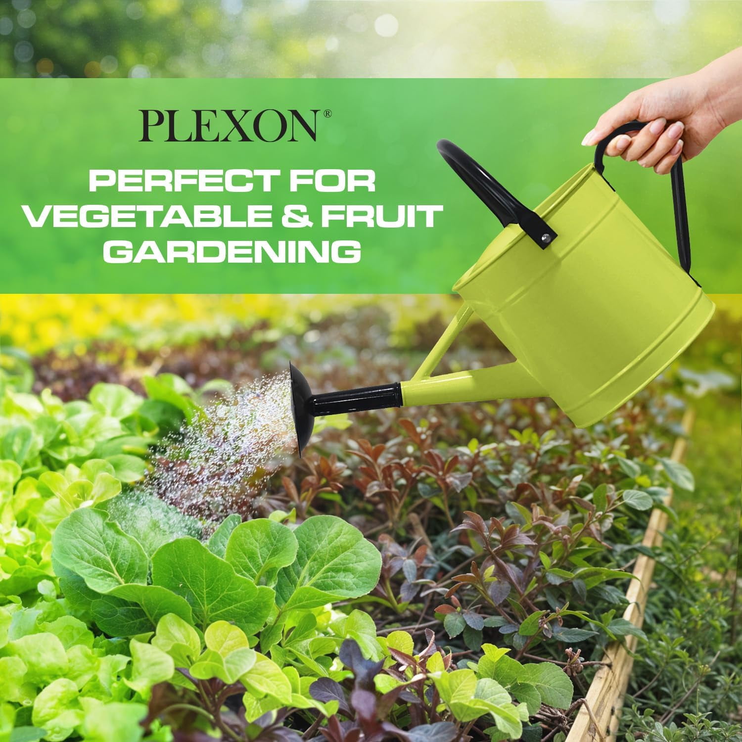 Plexon 1 Gallon Metal Watering Can Outdoor, Flower Plant Gardening Garden Large Green Watering Can Pot, Galvanized Steel Handles - Removable Spray Spout, Green