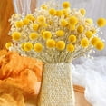 thumbnail image 2 of 30Pcs Natural Dried Flowers Craspedia Billy Balls Flowers Billy Buttons Floral Bouquet for Flower Arrangements Wedding Home Tall Vase Decor Yellow, 2 of 4