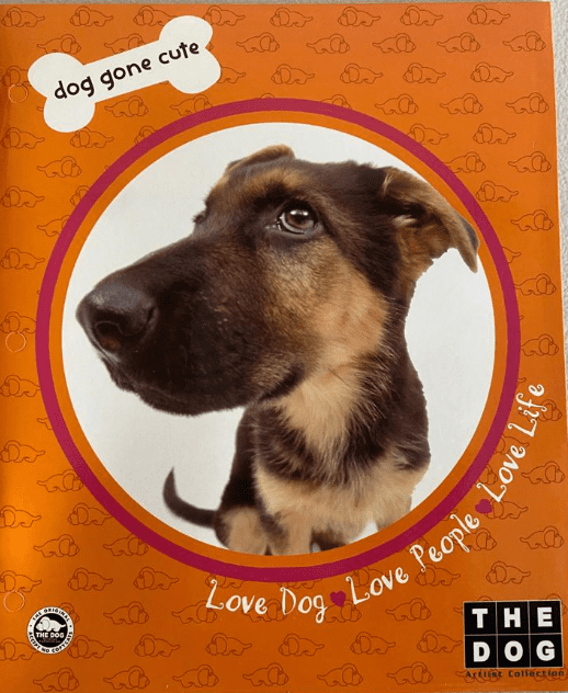 The Dog Artist Collection Set of 6 Portfolio Folders 