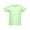 KEY LIME, variant on Rabbit Skins Infant Cotton Jersey T-Shirt - 3401