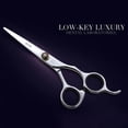 thumbnail image 4 of Professional Hair Cutting Scissors Set Stainless Steel Thinning Shears Comb Kit Barber Hairdressing Tool, 4 of 8
