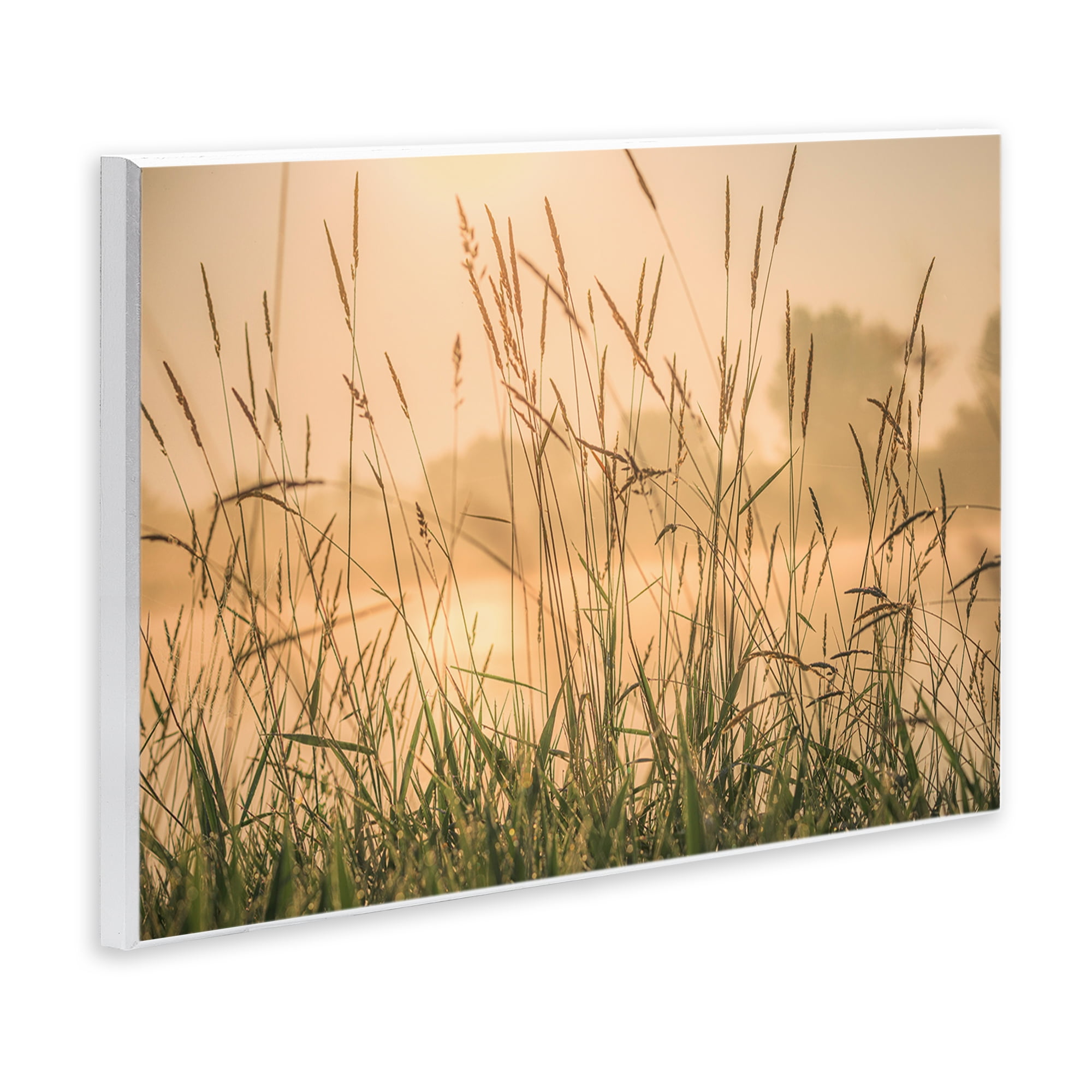 Stupell Industries Grassy Country Reeds Landscape & Nature Photography Unframed Art Print Wall Art, 19 x 13