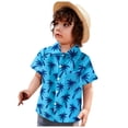 thumbnail image 3 of Zshosam Boys Short Sleeve Shirt Boys Short Sleeve Button Down Shirt Casual Shirts with Pockets for Kids Size 5T 6T,(Sky Blue 5-6 Years), 3 of 3