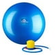 Black Mountain Products 65cm Blue Gym Ball 65 cm. Force Statique Exercice Stabilité Balle&44; Bleu – image 1 sur 4