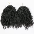 thumbnail image 3 of Extensiones de cabello humano a ganchillo YOUNG BEAUTY Kinky Curly de 20 pulgadas, 3 of 8