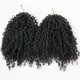 thumbnail image 3 of Extensiones de cabello humano a ganchillo YOUNG BEAUTY Kinky Curly de 20 pulgadas, 3 of 8