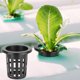 thumbnail image 2 of 10 unids/set de taza de cesta hidropónica de plástico transpirable para jardín, balcón, plantación (negro), 2 of 5