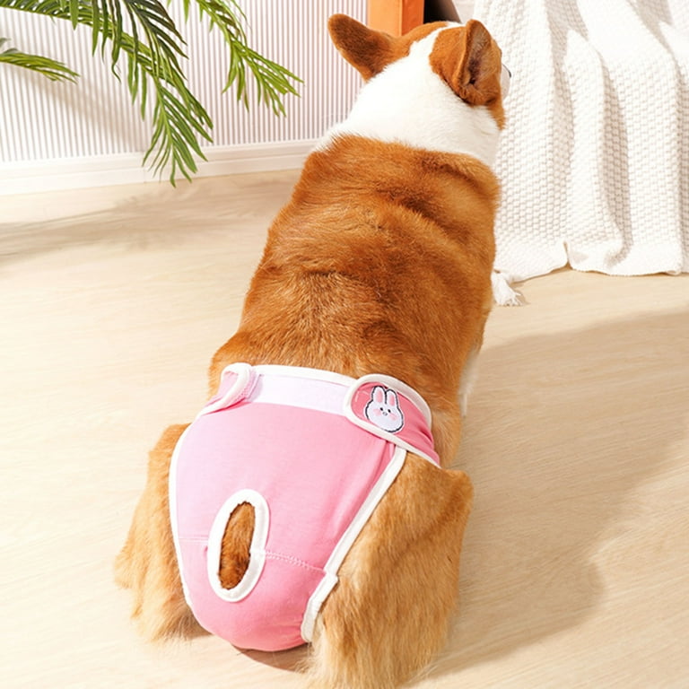 Dog period pants discount