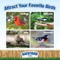 thumbnail image 3 of Bird Seed CountryMax Backyard Seeds Premium 18kg, 3 of 5