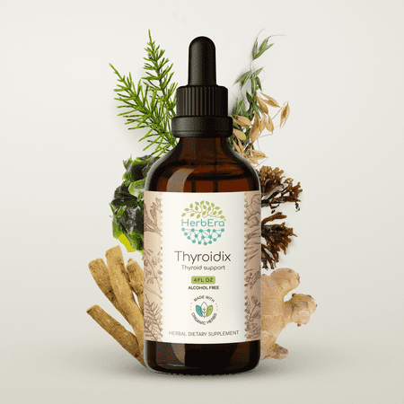 HerbEra Thyroidix Extract, Dietary Supplement Herbal Formula, Made from Horsetail Herb, Kelp Plant, Bladderwrack Plant, Ashwagandha Root, Ginger Root 4 oz