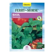 Ferry-Morse 130MG Basil Genovese Herb Plant Seeds Full Sun