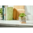 thumbnail image 5 of Yankee Candle Tranquil Rose & Hibiscus Well Living Collection Medium Square Candle, 5 of 6