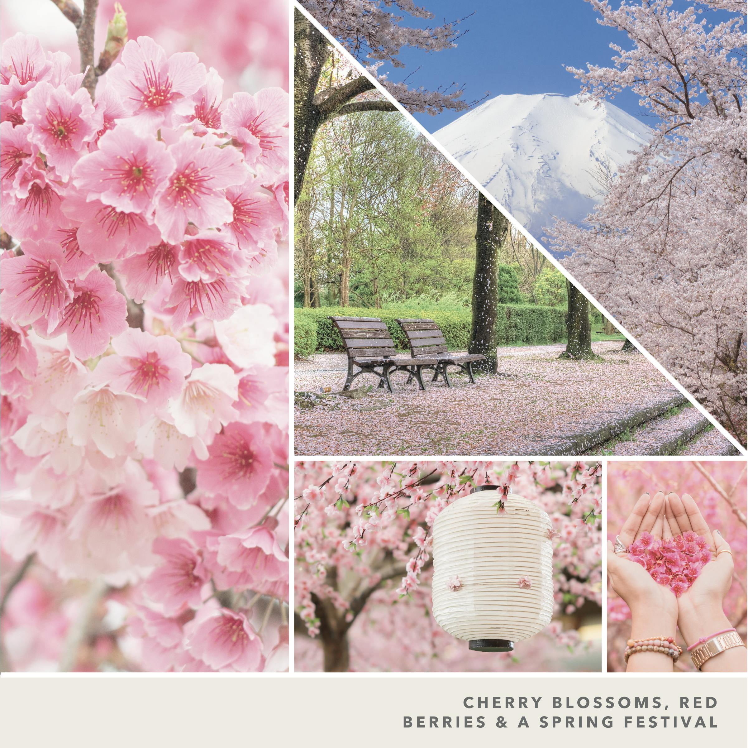 (4 pack) Yankee Candle Original Large Jar, Sakura Blossom Festival, 22 oz