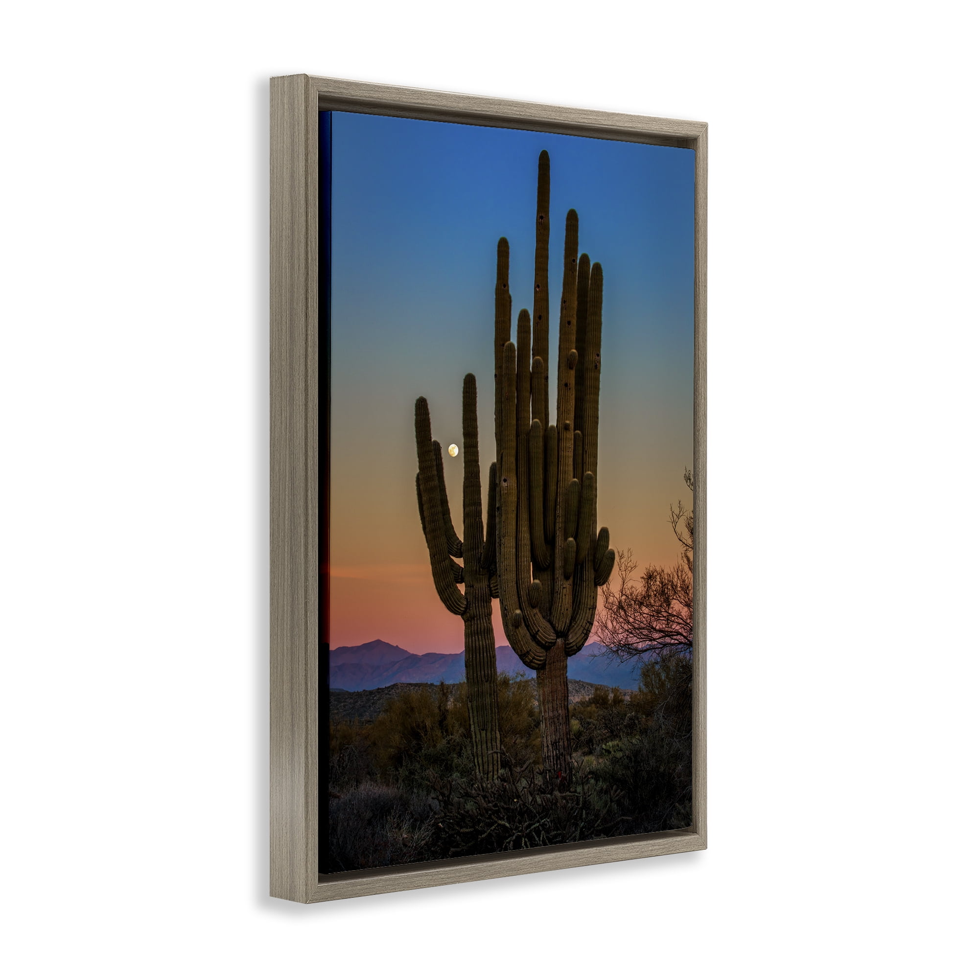 Stupell Industries Silhouetted Cacti with Moon Landscape & Nature Photography Brown Floater Framed Canvas Art Print Wall Art, 21 x 31