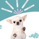 thumbnail image 5 of 100 piezas de PVC multifuncional suave mascotas perro cubierta de uñas envuelve patas garra antiarañazos (verde M), 5 of 8