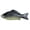 Black, variant on tasrioml Simulated Fish Model Realistic Black White Artificial Crucian Figurine Fish Decoration Ornament Kids Animal Learning Toy Photo Prop
