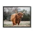 thumbnail image 2 of Stupell Industries Serene Highland Cattle Rural Pasture Daylight Sun Photograph White Framed Art Print Wall Art, Design by Dakota Diener, 2 of 5