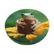 thumbnail image 1 of Disketp Tree Frog Sitting On Sunflowes Funda Redonda para Taburete, Funda de Cojín para Silla de Bar Suave y Elástica-12 inch, 1 of 7