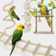 thumbnail image 5 of Juego de 8 Juguetes de Madera para Pájaros Sincero Juguetes Coloridos para Masticar, 5 of 5