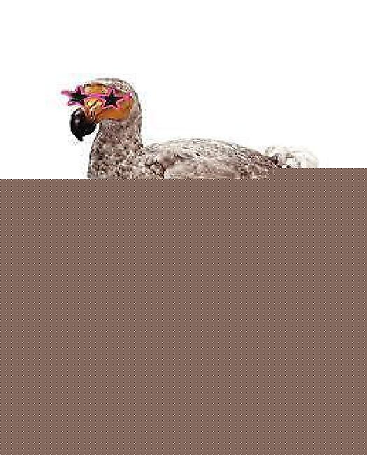 thumbnail image 1 of The Hollywood Dodo, 1 of 1