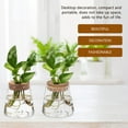thumbnail image 3 of RENACLIPY 3 Pcs Terrarium en Verre avec Couvercle Transparent Support de Rangement Moderne Décoration Maison, 3 of 6