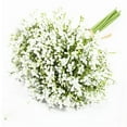 thumbnail image 2 of Artificial Baby's Breath Flowers, 12pcs Real Touch Silk Gypsophila Bouquet with Silicone Flower Heads, Plastic Stems for Wedding, Home, Party Decoration, Centerpieces, Vase Fillers, 2 of 9