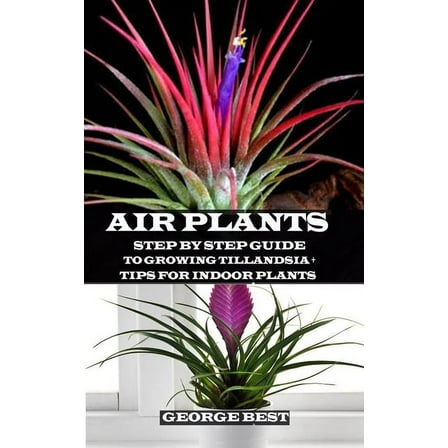 Air Plant: Step by Step Guide to Growing Tillandsia   Tips for Indoor Plants, (Paperback)