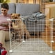 thumbnail image 2 of 1 juego de jaula para gatos, corral para gatos, casa para gatos, jaula de metal, jaula de alambre para hacer tú mismo, regalo, 2 of 7