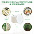 thumbnail image 3 of Platos de papel Vplus, 100% compostables, ovalados, 32 cm, 125 unidades, 3 of 7