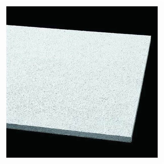 Armstrong Ceiling Tile,24 in L,24 in W,PK10 563E