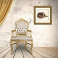 thumbnail image 3 of Kazumasa, Kondou 15x15 Gold Ornate Wood Framed with Double Matting Museum Art Print Titled - Kitten, 3 of 4