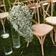 thumbnail image 6 of Baby's Breath - Fresh Cut Flowers - 5 Bunches - White - by Bloomingmore, 6 of 7