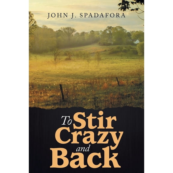 To Stir Crazy and Back (Paperback)