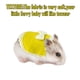 thumbnail image 4 of 2 piezas de ropa linda para mascotas pequeñas, ropa para hámster, disfraz de hámster con lazo, color amarillo, talla S, 4 of 5