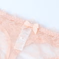 thumbnail image 2 of Lingerie Transparente en Maille pour Femmes Soutien-Gorge Brodé et String et Bas, 2 of 5