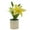 Yellow, variant on Travelwant Barnyard Designs Artificial Peace Lily in Small Pot, Large Indoor Faux Potted House Plant for Home, Office, or Parlor Decor
