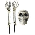 thumbnail image 2 of Gupgi 3Pcs Halloween Skeleton Ground, Artificial Human Plastic Bones, 2 of 9