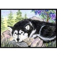 thumbnail image 1 of Carolines Treasures SS8062MAT Tapis Intérieur Extérieur 18 x 27 Po. Alaskan Malamute, 1 of 4